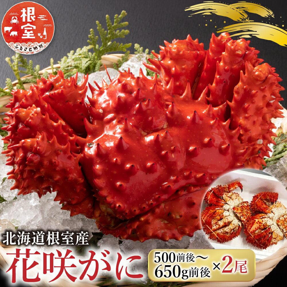 【ふるさと納税】 [北海道根室産] 花咲かに 500g 前後 〜 650g 前後 × 2 尾 花咲がに 花咲 花咲ガニ 花咲蟹 かに カニ 蟹 お取り寄せ グルメ 海鮮 北海道 根室市 ふるさと納税 B-36002