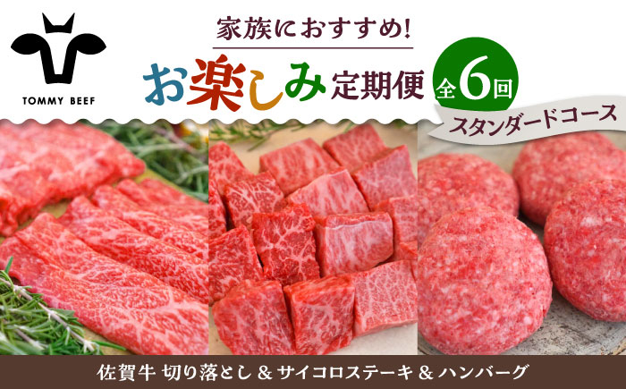 
            【牧場直送】【6回定期便】佐賀牛 少人数 家族向け お楽しみ 定期便【佐賀セントラル牧場】佐賀県産 牛肉 お肉 肉 切り落とし ステーキ ハンバーグ 食べ比べ 詰め合わせ 九州 佐賀県 白石町 [IAH216]
          
