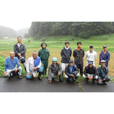 ふるさと納税 雲南市 島根県雲南市「大月谷コウノトリやすらぎ米」きぬむすめ20kg(5kg×4) |  | 01