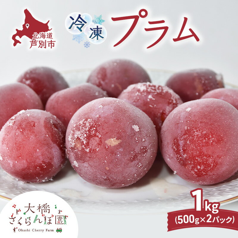 【ふるさと納税】プラム 500g × 2パック 1kg 冷凍 果物 くだもの フルーツ 旬の果物 旬のフルーツ 大橋さくらんぼ園 果物類 フルーツ デザート 完熟 急速冷凍 新鮮 美味しい 人気 冷凍配送 北海道 芦別市