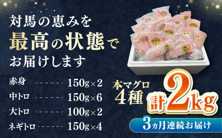 【全3回定期便】 対馬産 本マグロ 4種 計2kg（赤身/中トロ/大トロ/ネギトロ）《対馬市》【対海】 冷凍配送 大容量 新鮮 海鮮丼 手巻き寿司[WAH034]