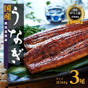 【ふるさと納税】うなぎ 高評価4.4以上 鰻 長蒲焼 3尾 360g | ふるさと納税 うなぎ 高級 ウナギ 鰻 丑の日 国産 蒲焼 蒲焼き たれ 鹿児島 大隅 大崎町 ふるさと 人気 送料無料