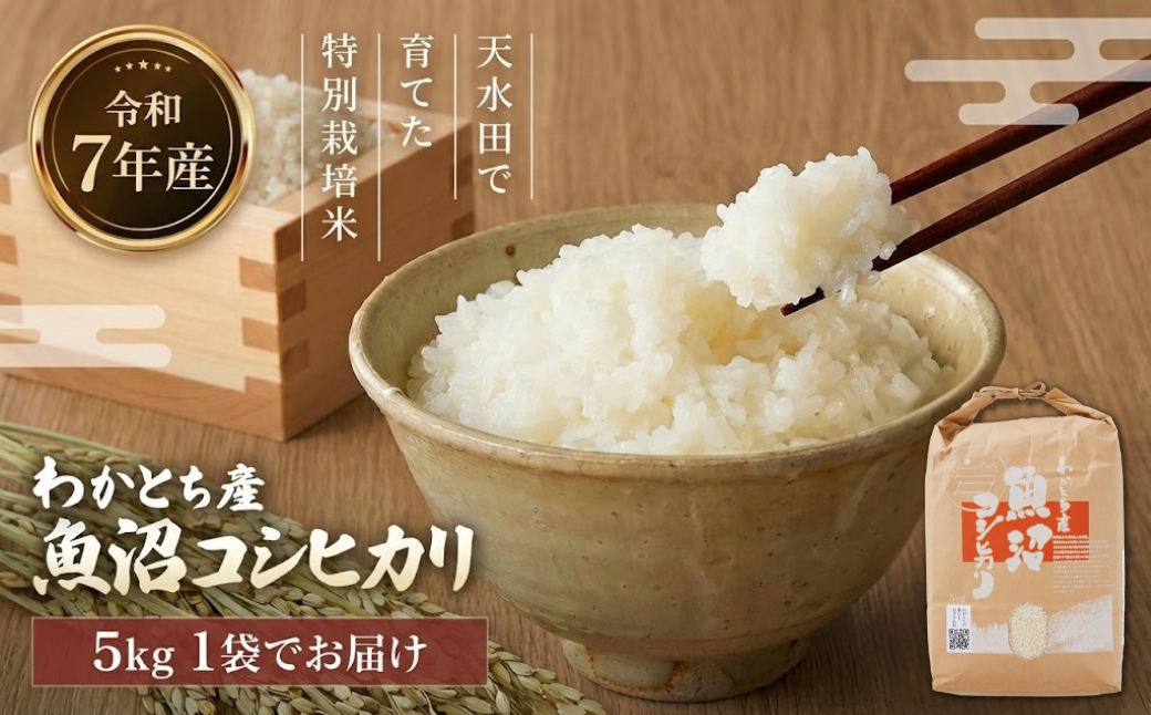 【令和7年産】わかとち産 魚沼コシヒカリ特別栽培米 棚田米 5kg 精米 白米 新潟県産 コシヒカリ