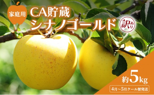 
                  [№5554-0293]【平均糖度13度以上】4月～5月 クール便発送 家庭用 訳あり CA貯蔵 シナノゴールド 約 5kg りんご リンゴ 林檎 果物 フルーツ わけあり 青森
                