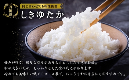 【令和8年産 先行受付】しきゆたか 白米 10kg《2027年1月発送》
