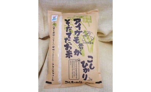 【令和6年産先】有機JAS認証「アイガモ君が育てたお米」コシヒカリ　2kg×2【フクハラファーム】