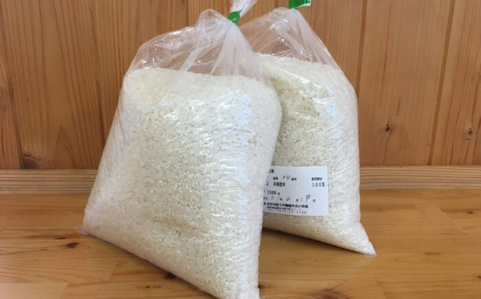 中野方町の特産品！ 旬の農産加工物セット 棚田米入り お米 野菜 詰め合わせ 恵那市 / なかのほう不動滝やさいの会 [AUCB001]