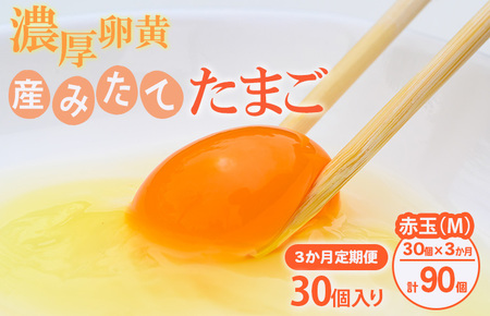 【定期便（３カ月）】小久保ファーム　濃厚卵黄　産みたてたまご　赤玉30個入り（M玉） ※着日指定不可_EI04