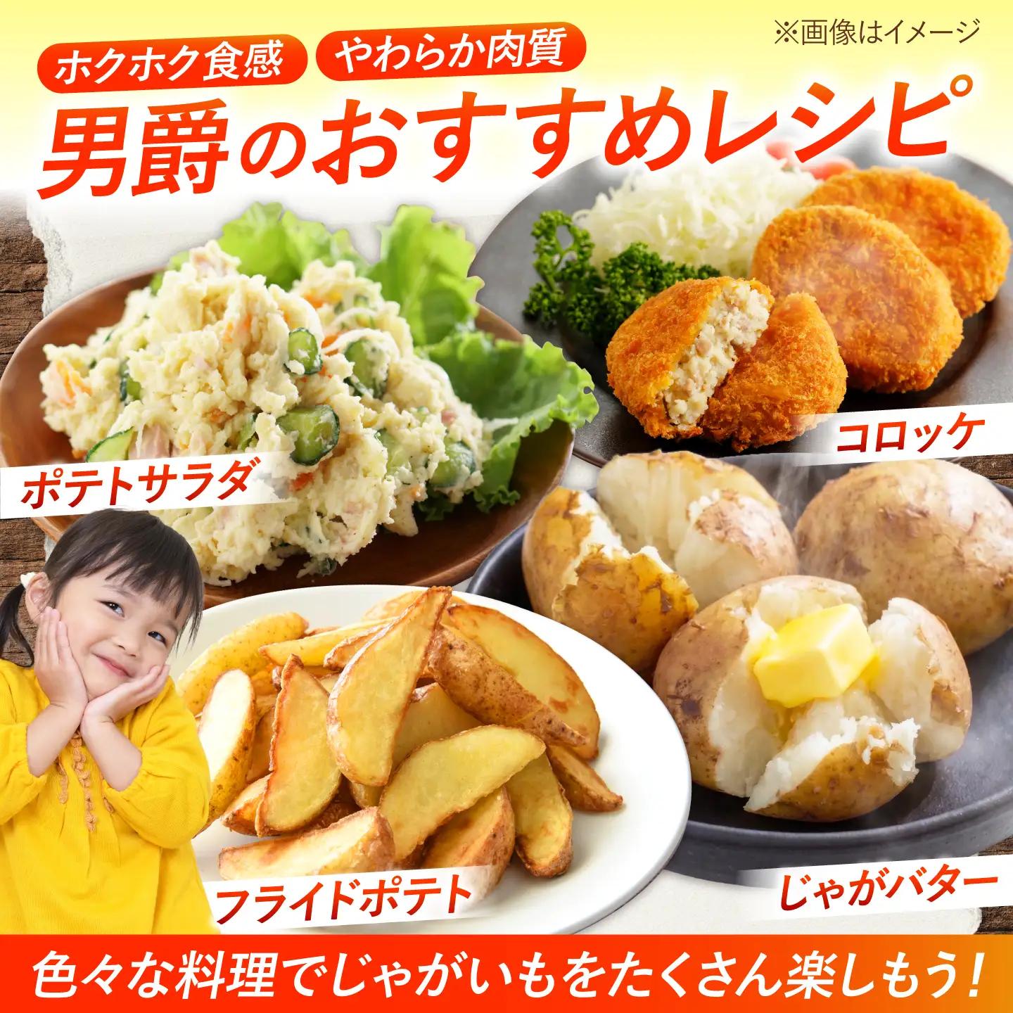 じゃがいも 男爵芋 5kg | じゃがいも ジャガイモ 男爵芋 野菜 季節の野菜 北海道 産地直送 先行予約 | 株式会社Aコープようてい[BPAT001]