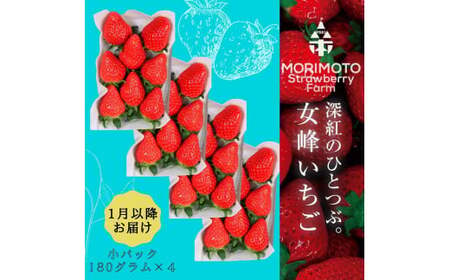 【苺ファーム森本】女峰いちご　小パック180ｇ×4パック　≪　IDOMALL　セレクト≫　_mk048-007