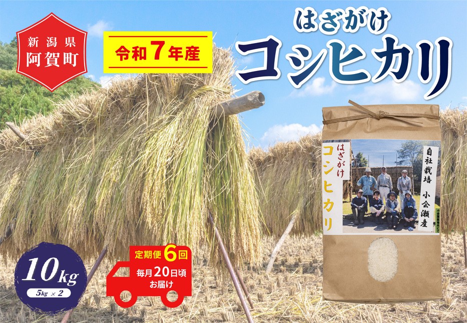 
            《令和7年産米》【定期便】6回　越後奥阿賀産はざがけ（天日干し）コシヒカリ　10kg（5kg×2袋）
          