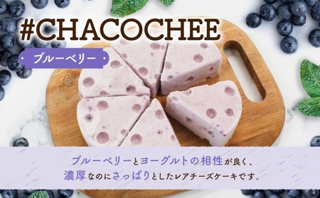 北海道 レアチーズケーキ 2種 セット プレーン ブルーベリー 計2ホール