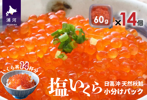 【時鮭スモークサーモン付】北海道日高産 塩いくら小分けパック(60g×14)[15-543]