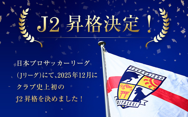 ＜J2昇格応援！＞テゲバジャーロ宮崎の活動支援 1口 5,000円～10,000,000円【返礼品なし】サッカー Jリーグ J2 スポーツ 社会貢献 地域活動 応援寄附 ファン サポーター【S28-0