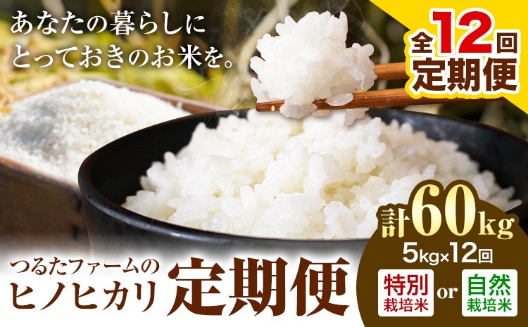 
                  【12回定期便】つるたファームのヒノヒカリ定期便 選べる 特別栽培米 自然栽培米 5kg ヒノヒカリ 株式会社七城の恵み《申込月の翌月から出荷開始》熊本県 菊池市 米 ひのひかり 定期便 つるたファーム
                