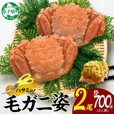 ふるさと納税 弟子屈町 【のし付】毛蟹 姿 2尾 計700g前後 ボイル 蟹ハサミ・ガイド付 北海道 弟子屈町 3334