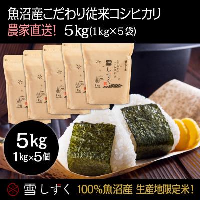 ふるさと納税 十日町市 令和7年産!魚沼産こだわり従来コシヒカリ【農家直送!】精米5kg(1kg×5袋)