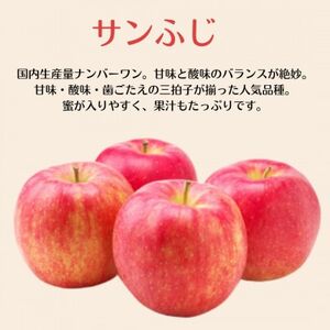 【訳あり】産地直送　信州りんご(サンふじ+シナノゴールド)2kg (ご家庭用)【1575856】