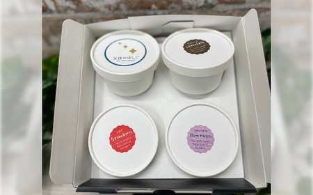 まるでアイスのようなロースイーツ 4種セット チョコレート ラムレーズン チョコミント ストロベリー ロースイーツ 冷凍 アイスクリーム 記念日 お祝い クリスマス ナチュラル ヘルシー ヴィーガン 