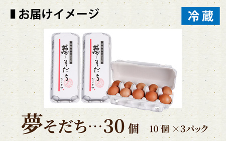  【夢そだち】 兵庫県産 ブランド卵 30個入り（10個×3パック）/ 卵