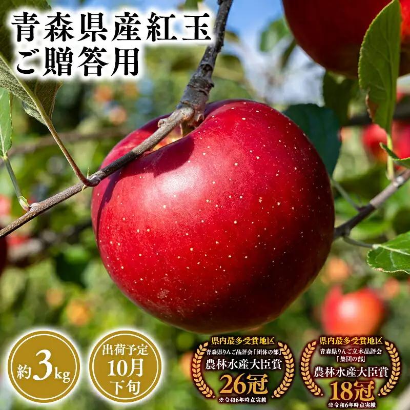 りんご 贈答用 紅玉3kg 【hi-0053-032】