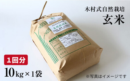 【月1回10kg×3回定期便】木村式自然栽培の玄米 ヒノヒカリ 計30kg＜ハマソウファーム＞ [CBR009]