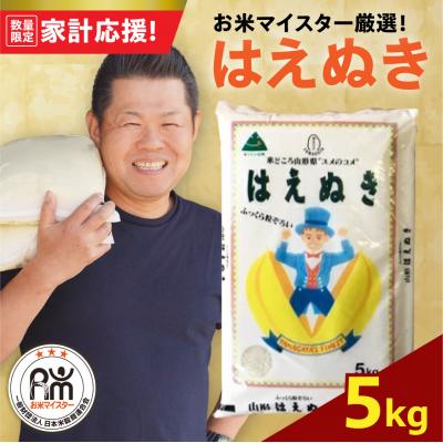 ふるさと納税 米沢市 令和7年産 はえぬき 5kg ( 5kg × 1袋 ) 精米