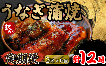 定期便 6回 訳あり うなぎ 蒲焼き 2尾 150g以上 × 2本入 計300g 以上 ( 鰻 6ヶ月 定期 さんしょう たれ セット 本格 うなぎ 2匹 冷凍 鰻 蒲焼 うな丼 うな重 ひつまぶし 人気 惣菜 海鮮 贈答用 プレゼント 贈り物 ギフト 滋賀県 竜王町 ふるさと納税 )