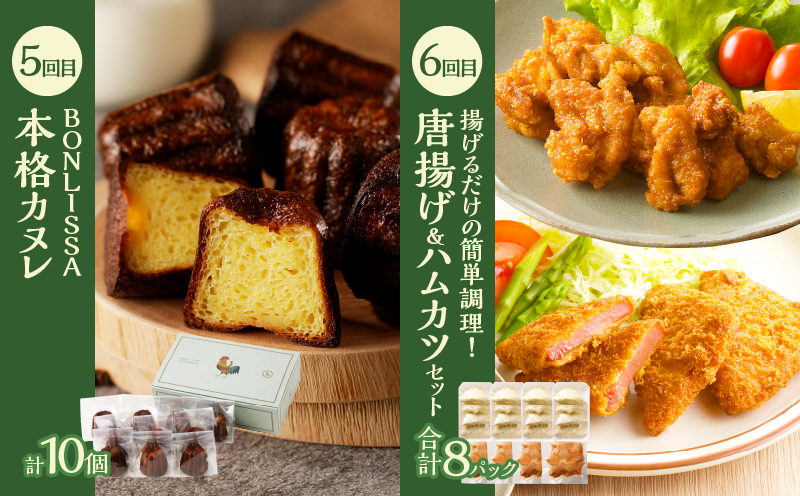 ≪12か月お楽しみ定期便≫都農町定期便(竹) 肉 加工品 デザート 国産_T999-0092