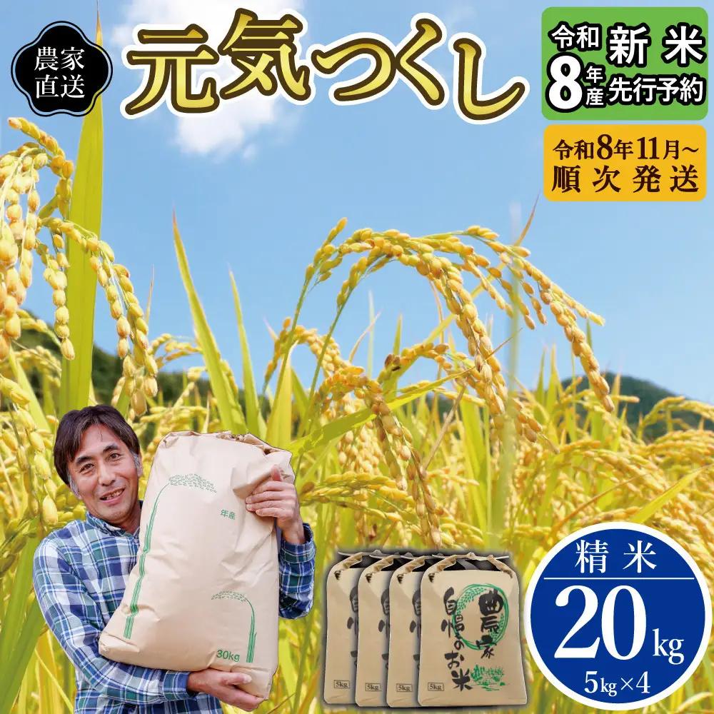 【先行予約】【2026年11月より順次発送】《令和8年産》福岡県大川市産 米 「 元気つくし 」 5kg×4個 計20kg | お米 米 こめ 精米 白米 ライス ブランド米 ごはん ご飯