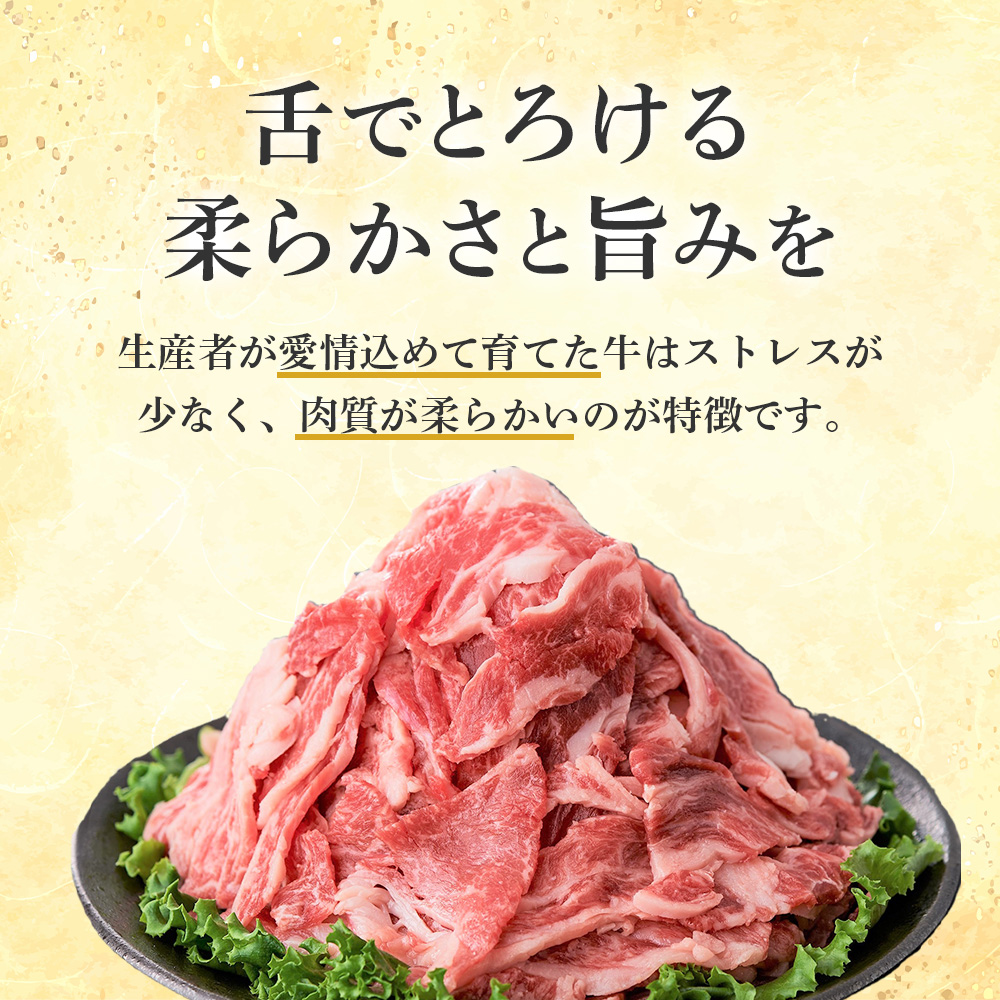 【E209】国産黒毛和牛切り落とし 900g （ 国産 牛 牛肉 黒毛和牛 切り落とし 真空 小分け 冷凍 宮崎県 小林市 ）_イメージ2