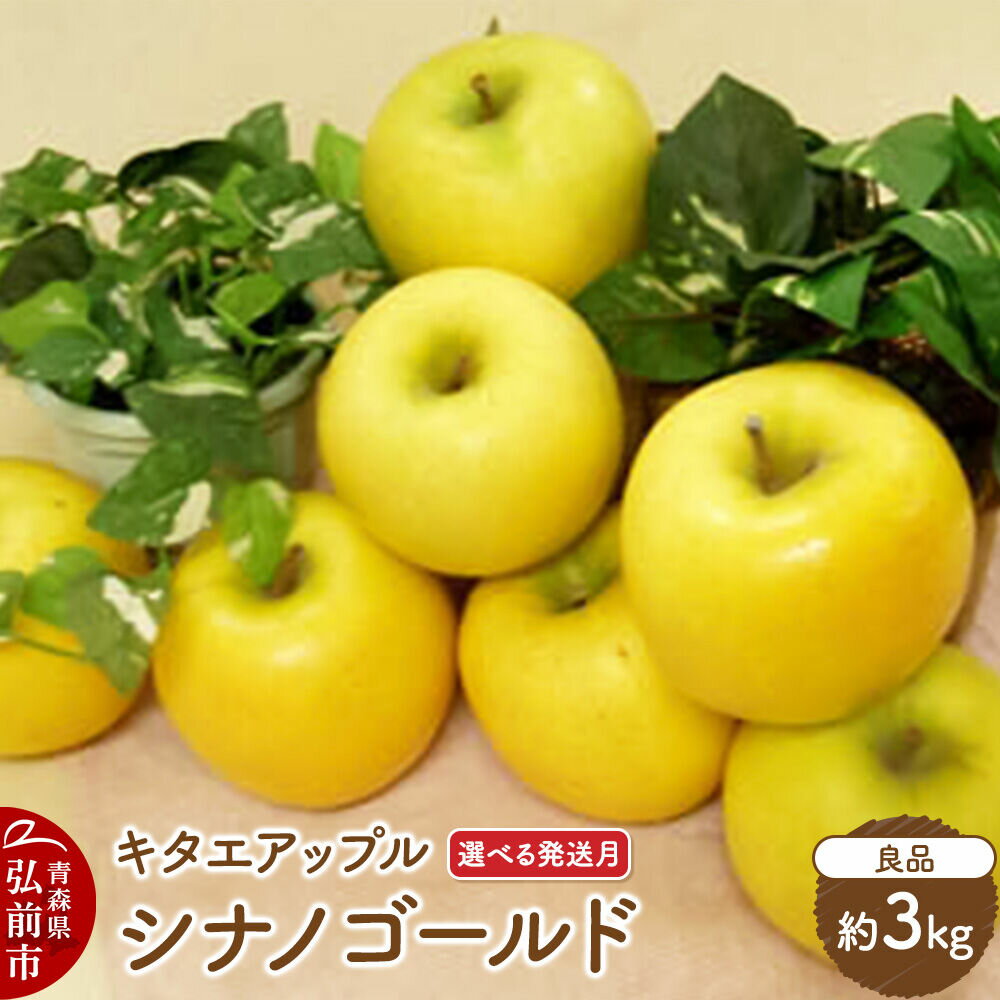 【ふるさと納税】りんご シナノゴールド【良品】約3kg【選べる発送月】【CA貯蔵】キタエアップル [贈答 贈り物 アップル 産地直送 青森県 弘前市 詰め合わせ セット 果物 フルーツ 林檎 リンゴ くだもの]