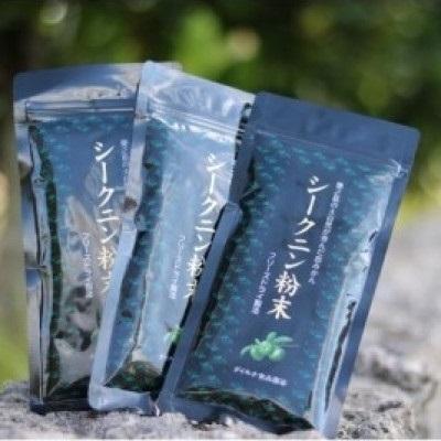 ふるさと納税 _伊仙町 シークニン粉末　100g×3袋