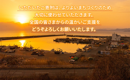 洞爺湖町 寄附のみの応援受付 2,000円コース（返礼品なし 寄附のみ 2000円） 支援 自治体支援 お礼の品なし 北海道 洞爺湖町の発展 ふるさと応援 ふるさと支援 