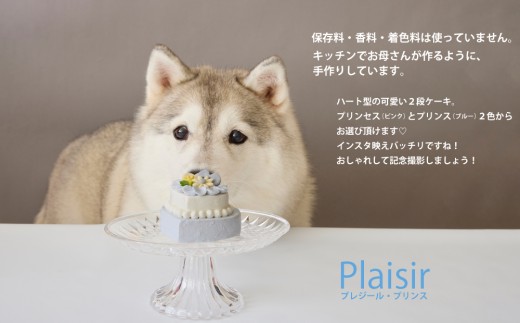 ＜ペットフード＞ ハート型のケーキ★プリンス Plaisir －プレジール－【Kitchen Dog！】