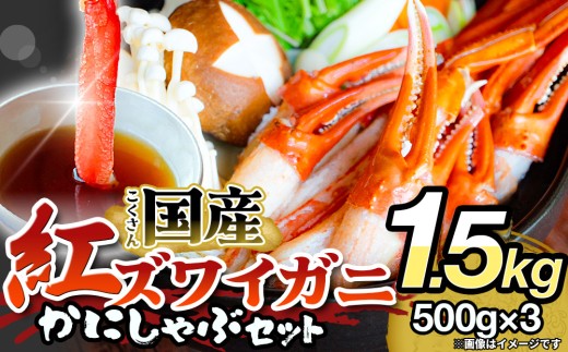 【先行予約】かに しゃぶしゃぶ 紅ズワイガニ 1.5kg 国産 カニしゃぶ 鍋セット 冷凍  ポーション ギフト 年末年始 魚介 富山県 氷見市