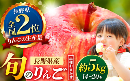 【先行受付】信州産りんご【品種おまかせ】約5kg (14～20玉)　【秋映・シナノスイート・シナノゴールド・名月・サンふじ・グラニースミス・あいかの香り】