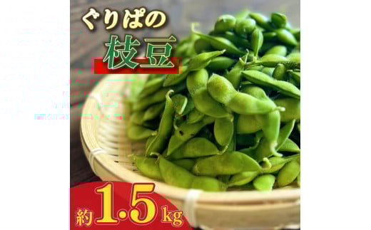枝豆 1.5kg えだまめ エダマメ 豆 おつまみ 酒 陽恵 新鮮 朝採れ 野菜 茶豆 ずんだ ずんだもち お中元 グルメ ギフト 静岡県 牧之原市 もろこしショップ ぐりぱ