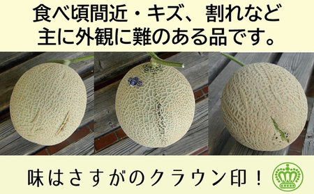【12ヶ月定期便】クラウンメロン（訳あり）1玉入 メロン デザート グルメ 果物 フルーツ 季節の果物 スイーツ 袋井市 静岡県