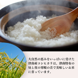 【6ヶ月定期便】魚沼産コシヒカリ 特別栽培 雪美人 10kg（5kg×2袋）| 津南町 魚沼 令和8年