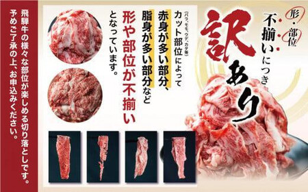 【定期便全3回】飛騨牛 訳あり 切り落とし 600g 定期便 LR104