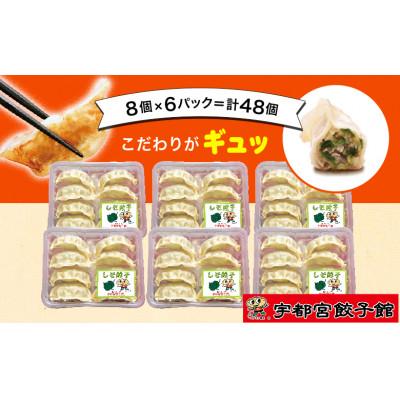 ふるさと納税 さくら市 宇都宮餃子館のしそ餃子 8個入り×6パック(計48個)