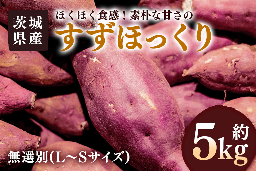 さつまいも すずほっくり 約5kg 無選別(L～Sサイズ) 茨城県産 ホクホク 食感 焼き芋 天ぷら 大学芋 しっとり 舌触り 自然の甘み スイーツ 野菜 サツマイモ 茨城県 潮来市 (A52-004)
