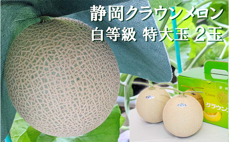 クラウンメロン マスクメロン 並 白等級 特大玉 クラウンメロン【約1.5kg 2玉】