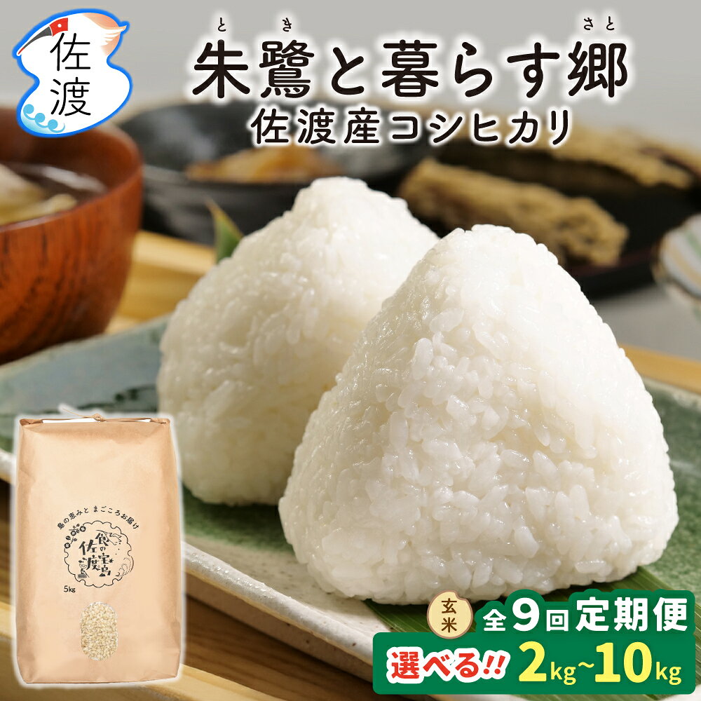 【ふるさと納税】【9か月定期便】玄米 コシヒカリ 2kg 5kg 10kg 選べる 令和8年産 特別栽培米 朱鷺と暮らす郷 佐渡島産 こしひかり お米 ごはん おにぎり 新潟県 佐渡市