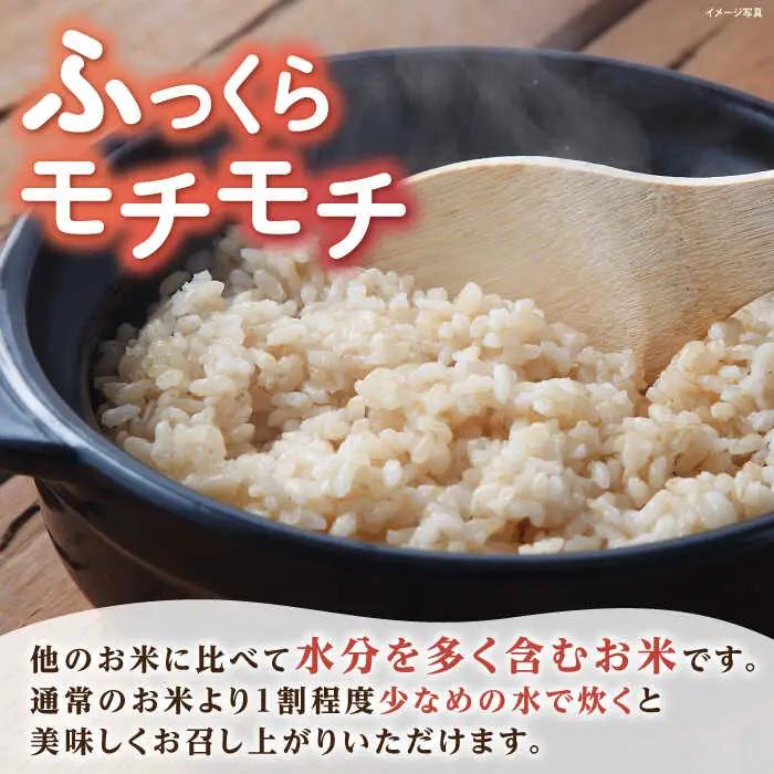 低農薬栽培 ミルキークイーン 玄米5kg[AQBL022] 玄米