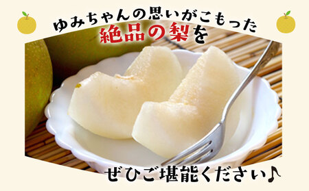 ゆみちゃん農園の玉東梨 甘太梨 約3kg(3～10玉前後)《2026年8月下旬-10月上旬頃出荷》 熊本県玉名郡玉東町 ｜ブランド梨 人気梨 特産品梨 熊本県梨 玉東町梨 大人気返礼品