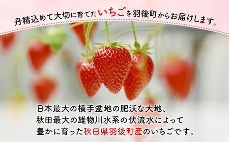 秋田県 羽後町産 訳あり いちご 品種指定不可 200g×2パック 端縫いシルクインナー入り　[ いちご 苺 イチゴ フルーツ 果物 ]