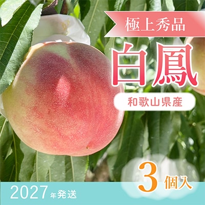 桃先行受付!　桃の王様【白鳳】　特秀品　食べきりやすい3個入り【配送不可地域：離島】