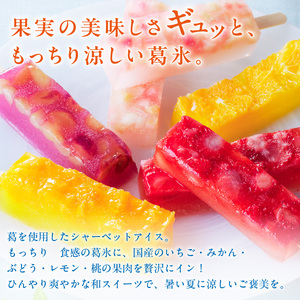 とけないアイス　葛氷10本セット[009B11]葛餅アイス 葛アイスバー 葛フルーツアイス 溶けないアイス 葛スイーツ【贈答・熨斗対応】